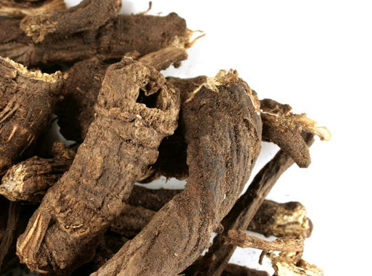 The Super Herb You've Never Heard Of: Osha Root for Optimal Wellness