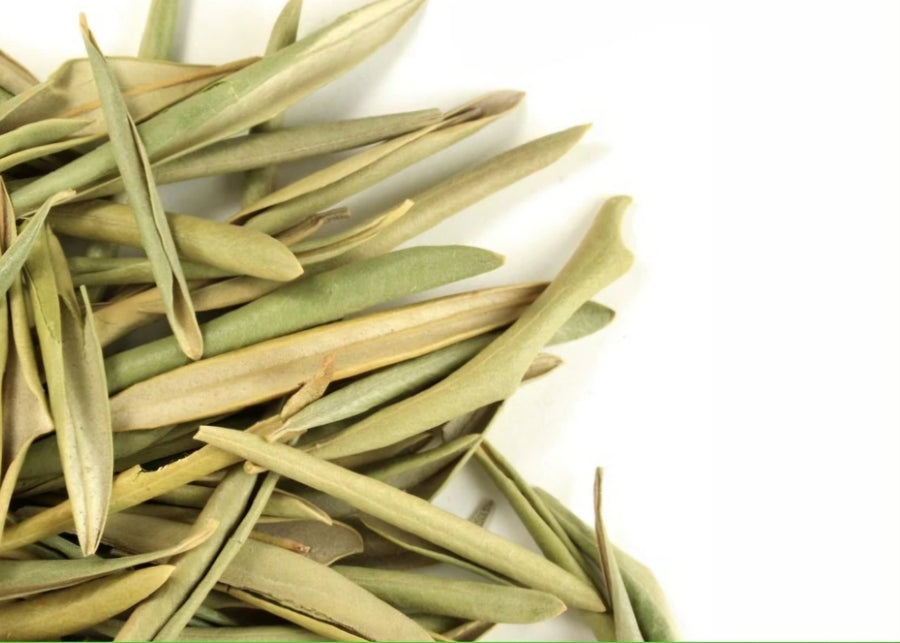 Olive Leaf 1 oz.