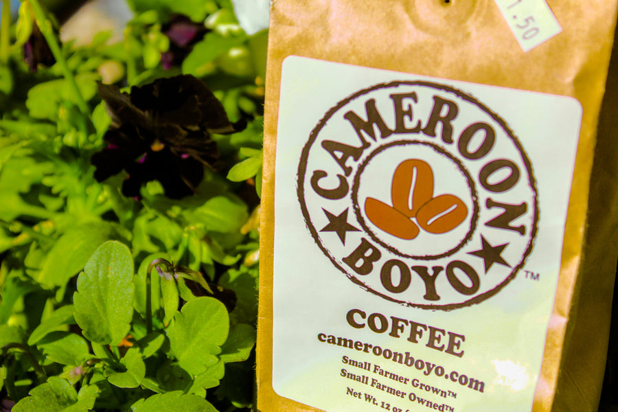 Cameroon Boyo Coffee 12 oz