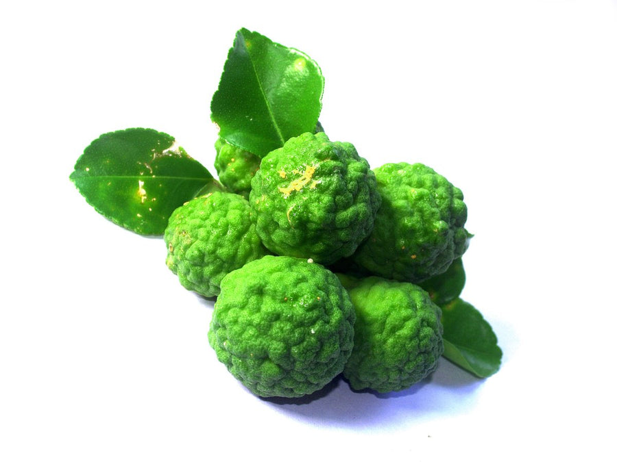 Bergamot Essential Oil 15 ml