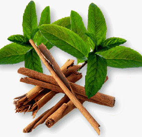Cinnamon Leaf Essential Oil